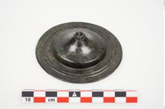 Foto von Bronzephalere (NHMW-PRAE-025105)